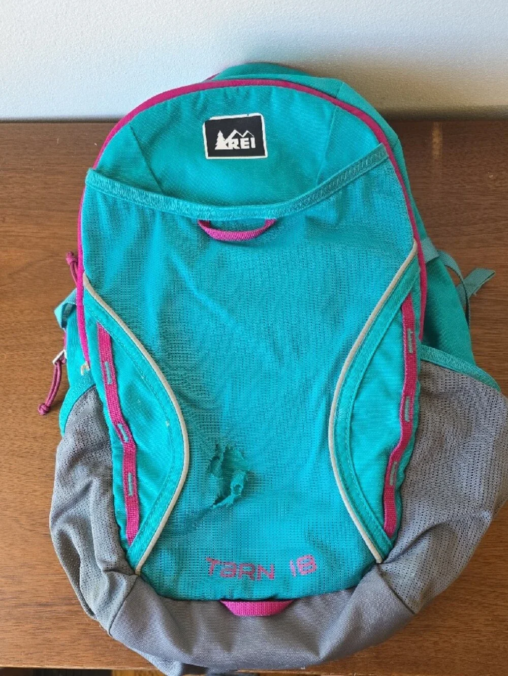 REI Tarn 18 Teal and Gray Daypack Backpack - Kids